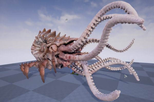 Kraken 5at