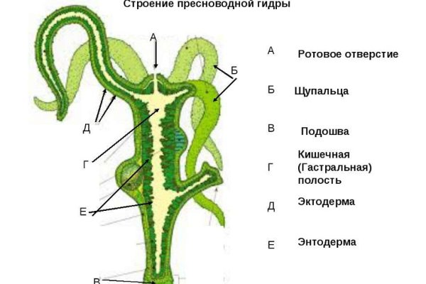 Кракен официальный сайт онион